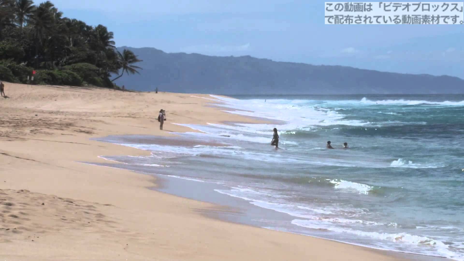 動画素材 美しいハワイのビーチ 自由に使える動画素材アーカイブ